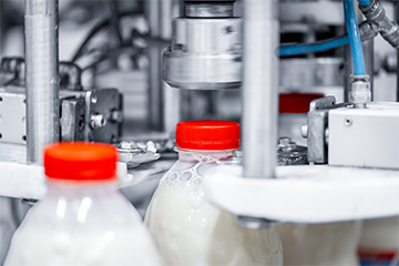 Plastic low-fat milk bottles on an assembly line having their red caps sealed by machines